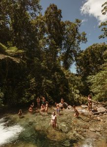 The Pure Creek
