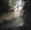 The Pure Creek