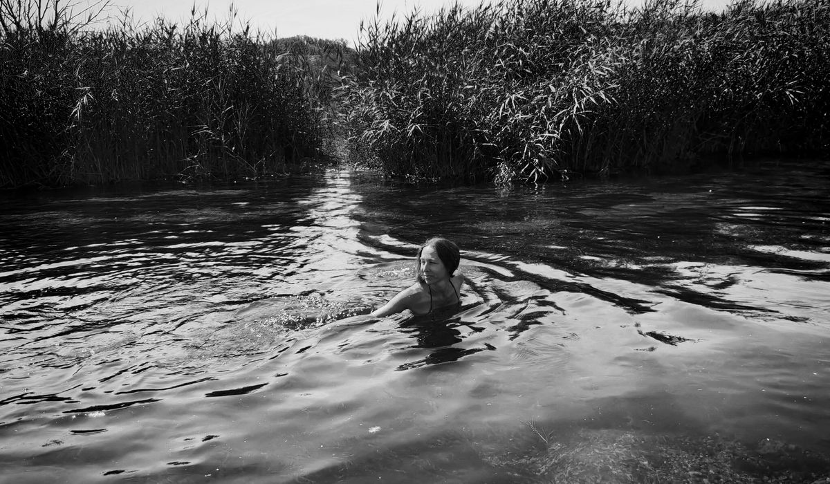 The Pure Creek
