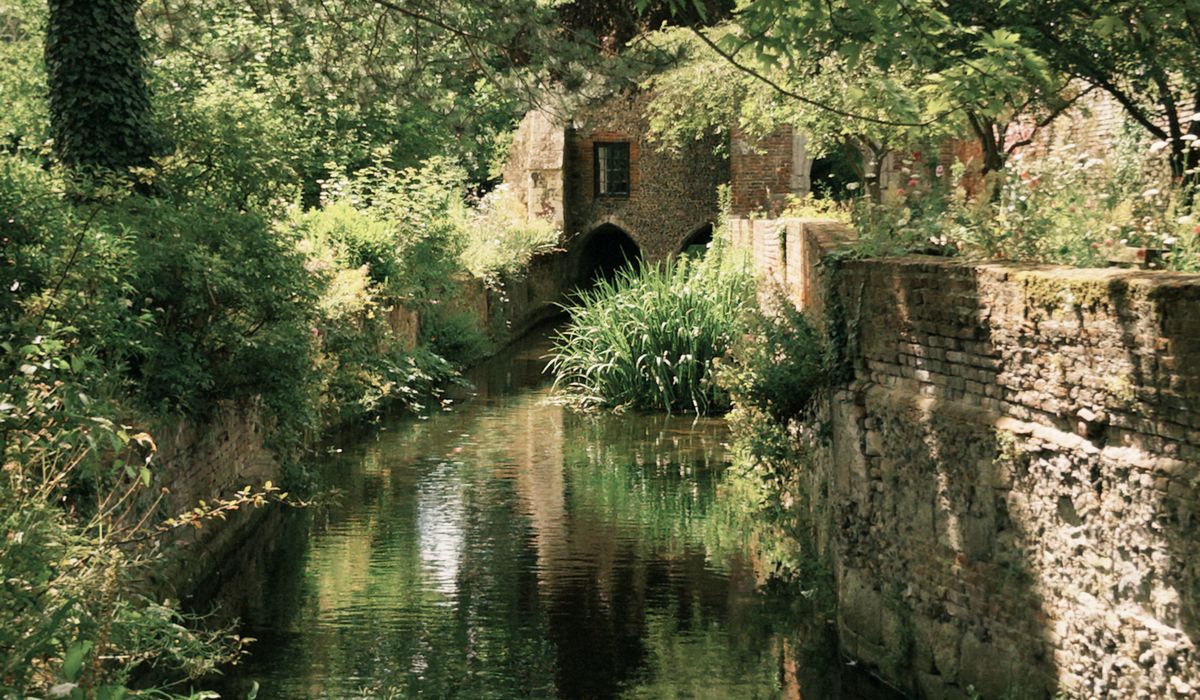The Pure Creek